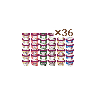 ハーゲンダッツ36個セット